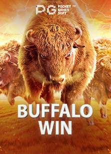 วิธีเล่น slots reel สำหรับมือใหม่